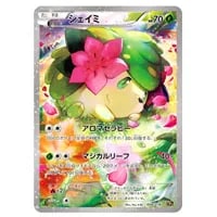 メロエッタ [幻・伝説 ドリームキラコレクション] CP5 019/036 買取