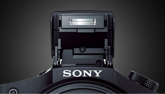 RX10II(DSC-RX10M2) 特長 : 充実の基本性能 | デジタルスチルカメラ