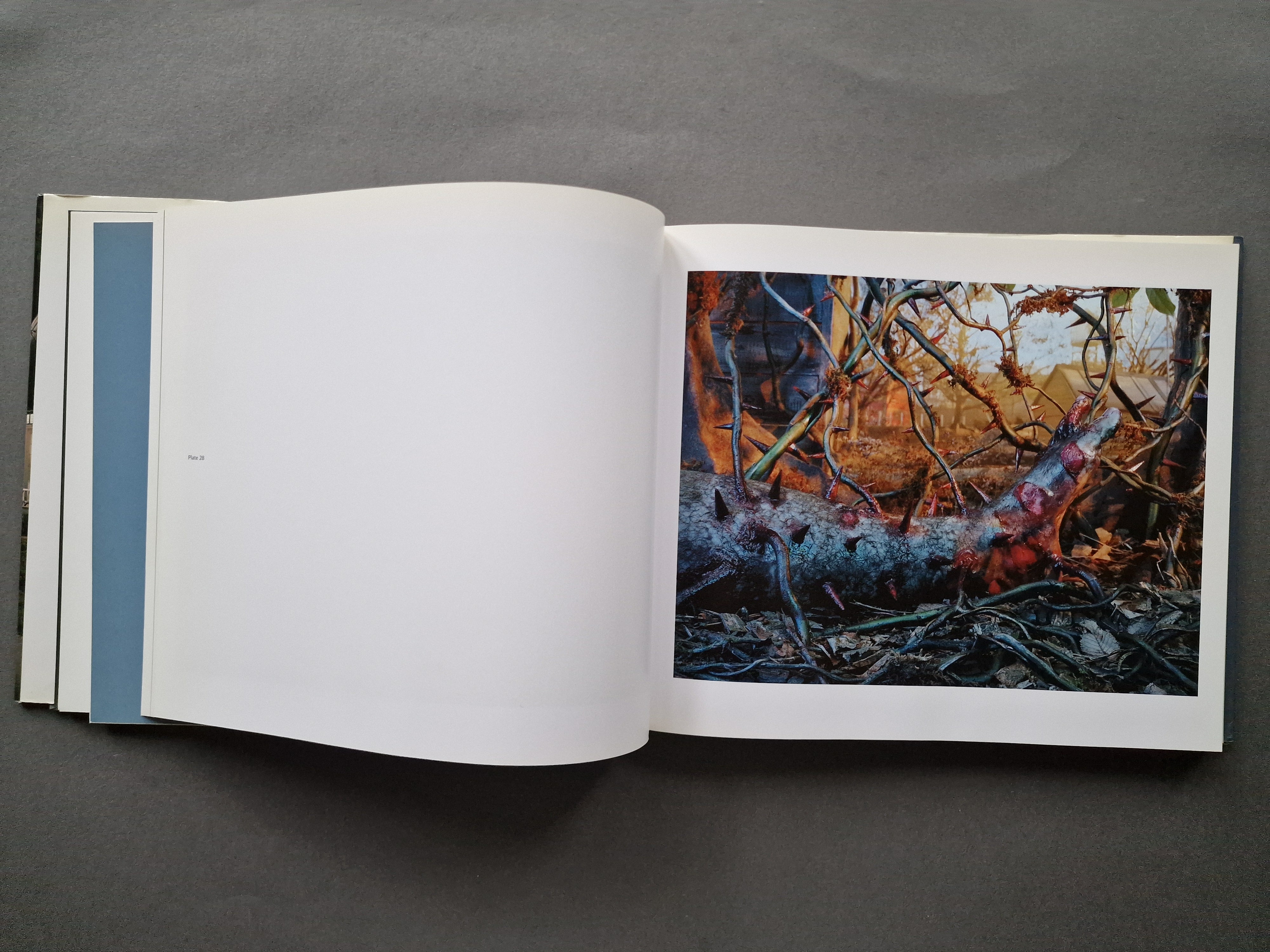 アート・デザイン・音楽 Gregory Crewdson: 1985-2005 アート