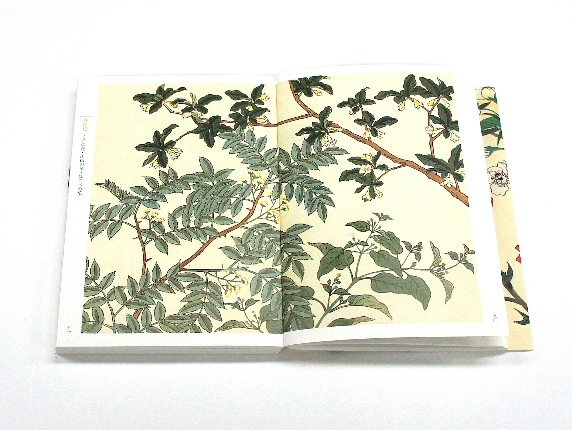 新装版 四季の花（上巻）｜青幻舎 SEIGENSHA Art Publishing, Inc.