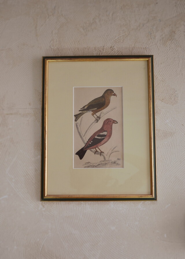 ❗️レア❗️ 英国アンティーク PEARS 絵画 額縁付き 狩猟シーン