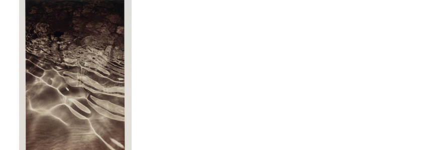 ニュース詳細｜SBIアートオークション