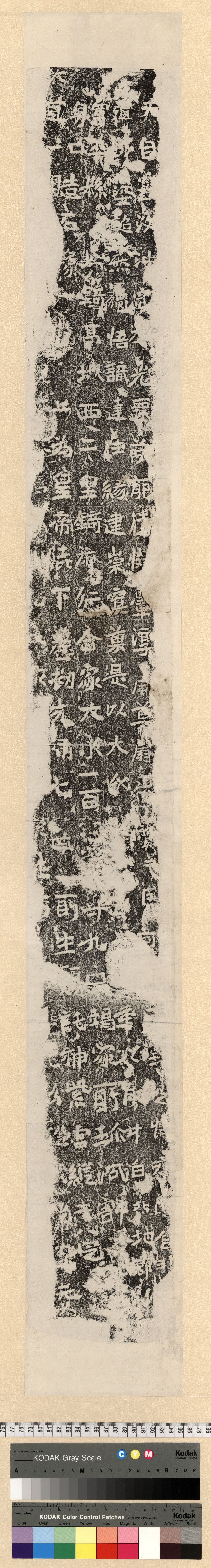 中国石刻拓本デジタルア－カイブズ 北魏｜淑徳大学