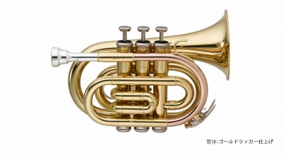 管楽器】手のひらサイズのポケットトランペットをご紹介！｜島村楽器