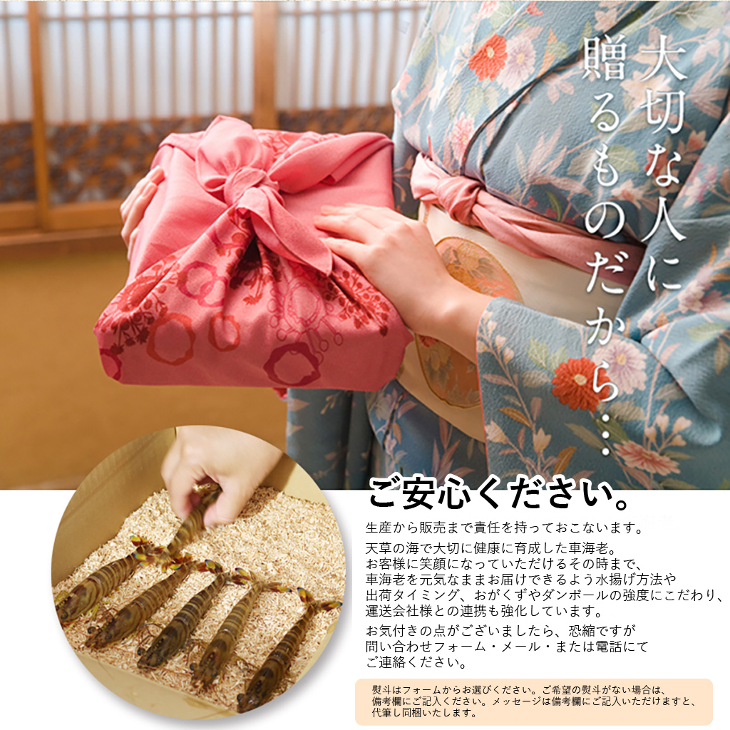 極上活き車海老500g 大きいサイズの木箱風呂敷包装