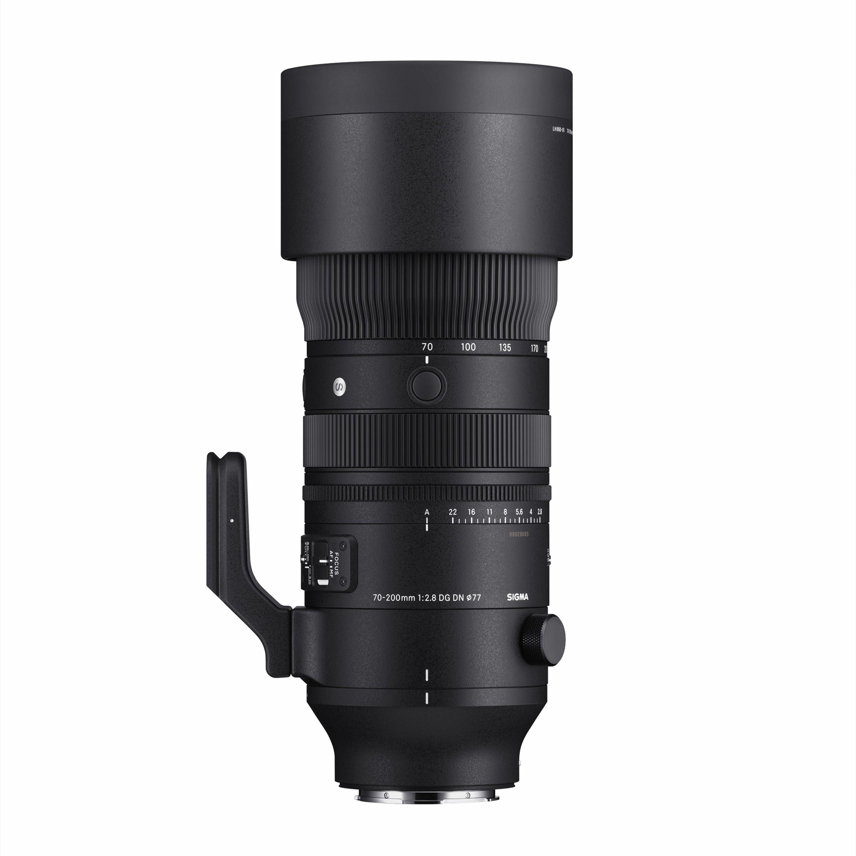 SIGMA 70-200mm F2.8 DG DN OS | Sports — Sigma Canada