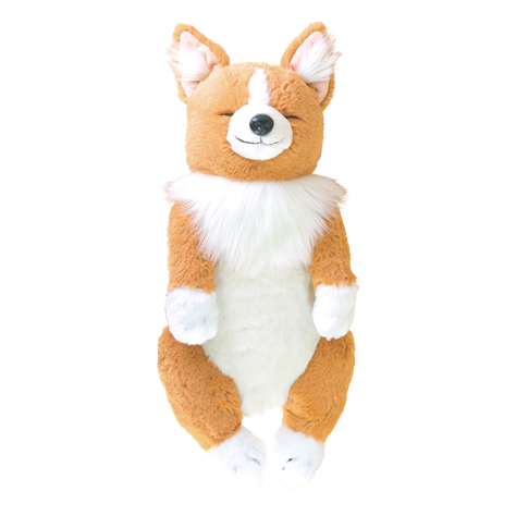 corgi_aomuke.jpg