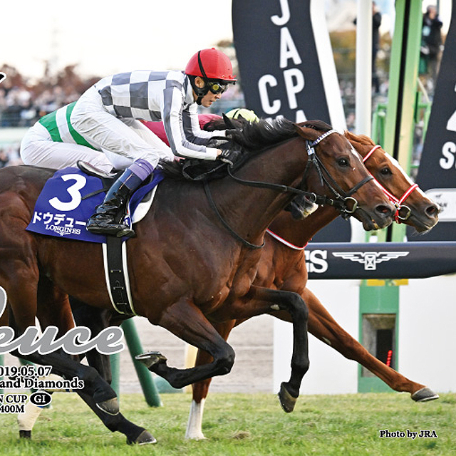 ドウデュース 2024年ジャパンカップ ジグソーパズル 500ピース