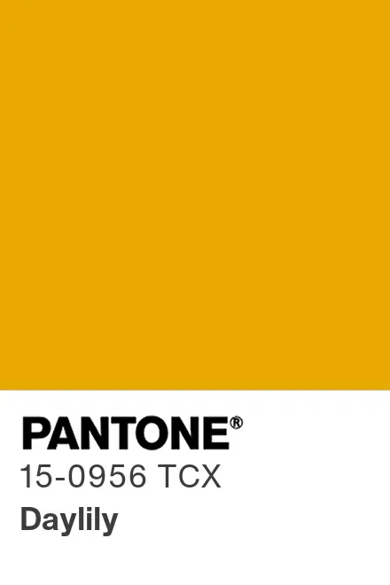 PANTONE® Europe | PANTONE® 15-0956 TCX - Find a Pantone Color