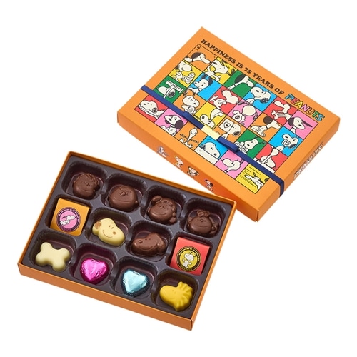 スヌーピー PEANUTS スペシャルチョコセット(チョコレート): 通常