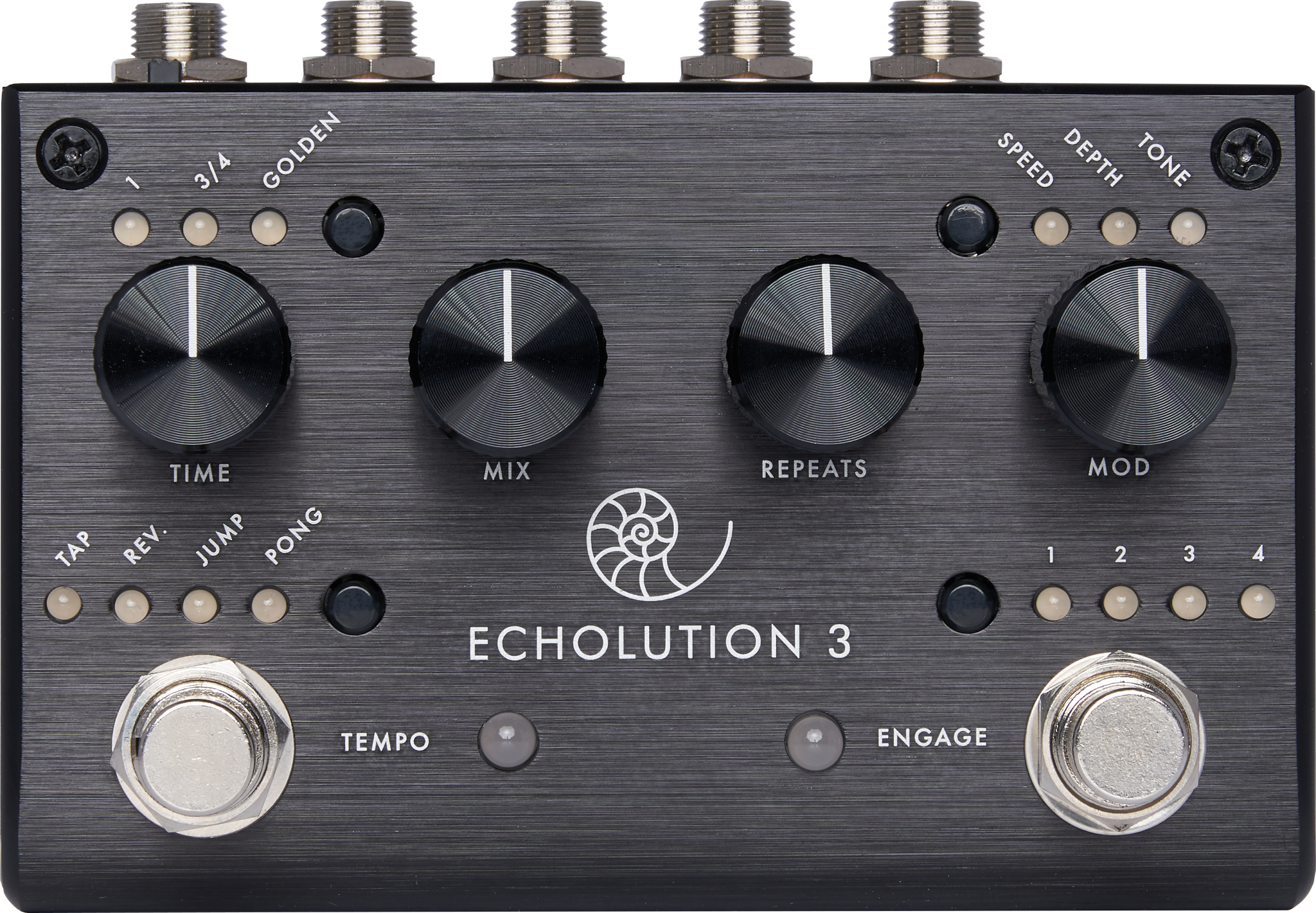 Echolution 3 - Pigtronix