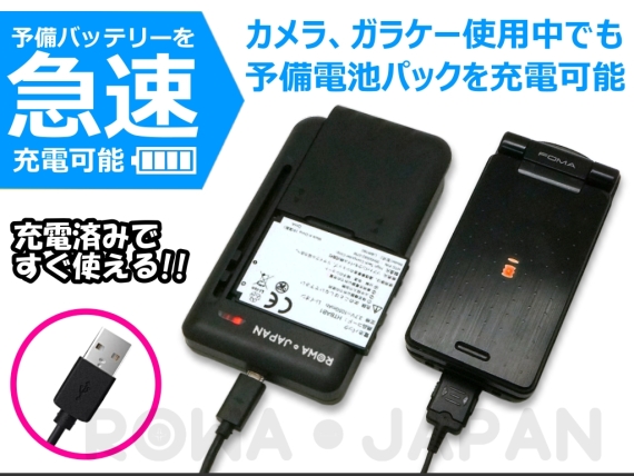 DB-L20-C-2P-SET2 ビデオカメラバッテリー 三洋電機対応 | ロワ