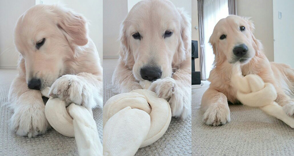 あいばろくらぶ写真館(230)