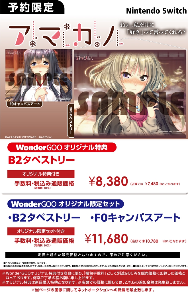 Nintendo Switch アマカノ 【限定セット】B2タペストリー・キャンバス