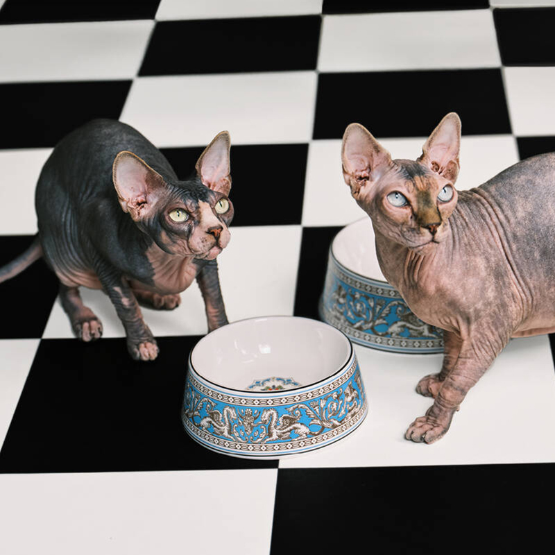 フロレンティーン ターコイズペットボウル 17cm|WEDGWOOD公式