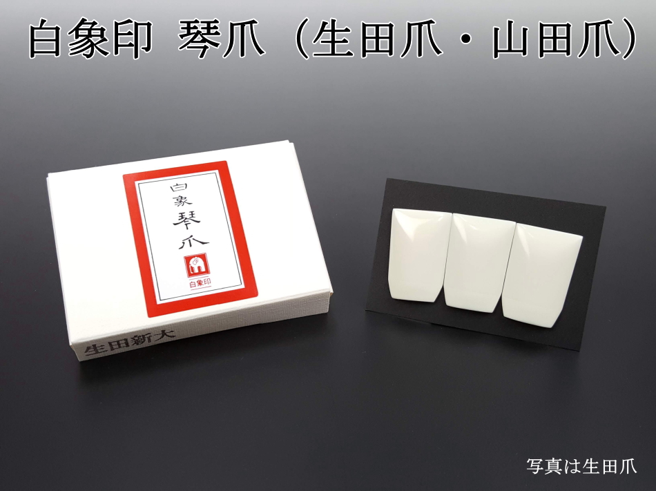 大本教 二弦琴 八雲琴 爪 琴 骨？ 大本教 二弦琴 八雲琴 爪