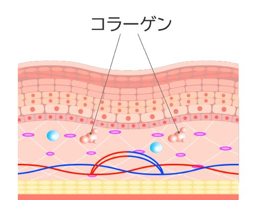 水光注射 | とざわメディカル・エステティック