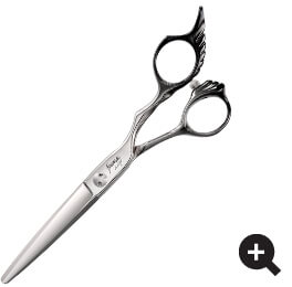 シャークライト - TOGINON