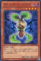 シャウト・コーン【デュエルマスターズトレカお買得価格通販：CBトレコロ】