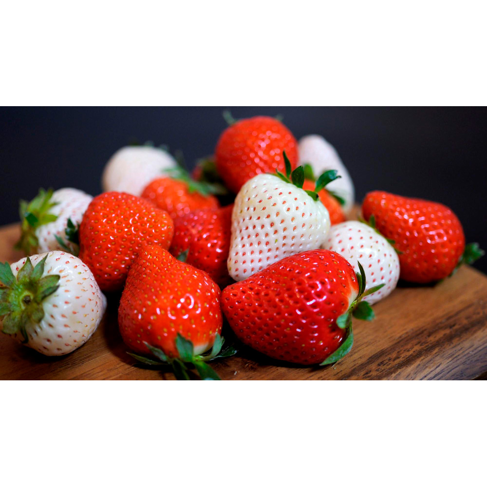 宮崎完熟「紅白苺」歌舞伎ギフトBOX | 商品詳細 | 高島屋オンラインストア