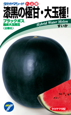 野菜 種 苗 株式会社タカヤマシード│西瓜