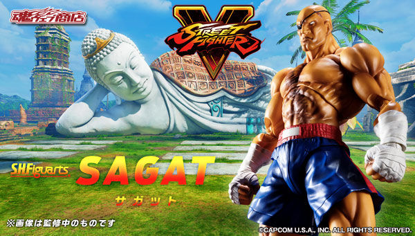 shfsfv-sagat-01.jpg