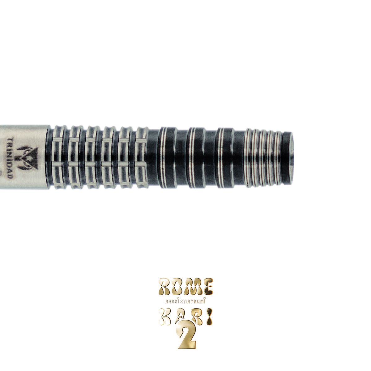 ダーツ バレル TRiNiDAD×Ryu ROMEKARI2 トリニダード 龍ダーツ コラボ