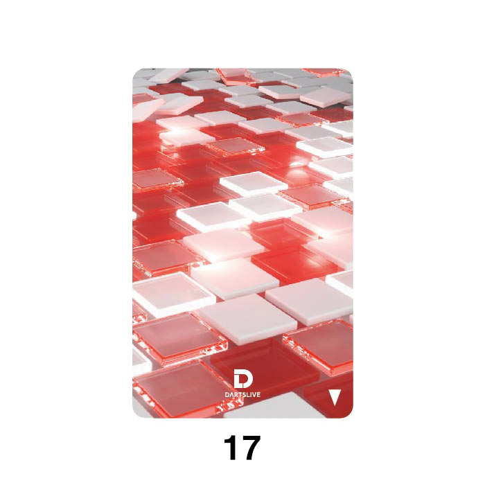 ダーツ DARTSLIVE CARD ライブカード ダーツライブカード 55-4