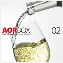 公式】ユーキャンの通販ショップ A.O.R BOX CD全10巻｜ユーキャン