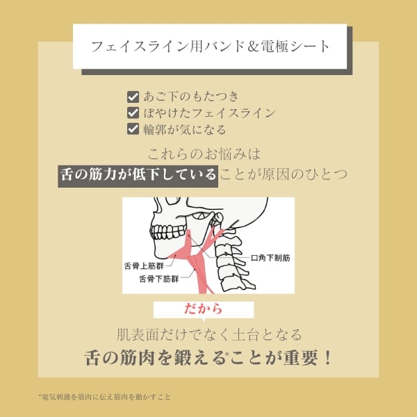 デザインリフトモア フェイスライン4個セット｜ヤーマン公式通販サイト