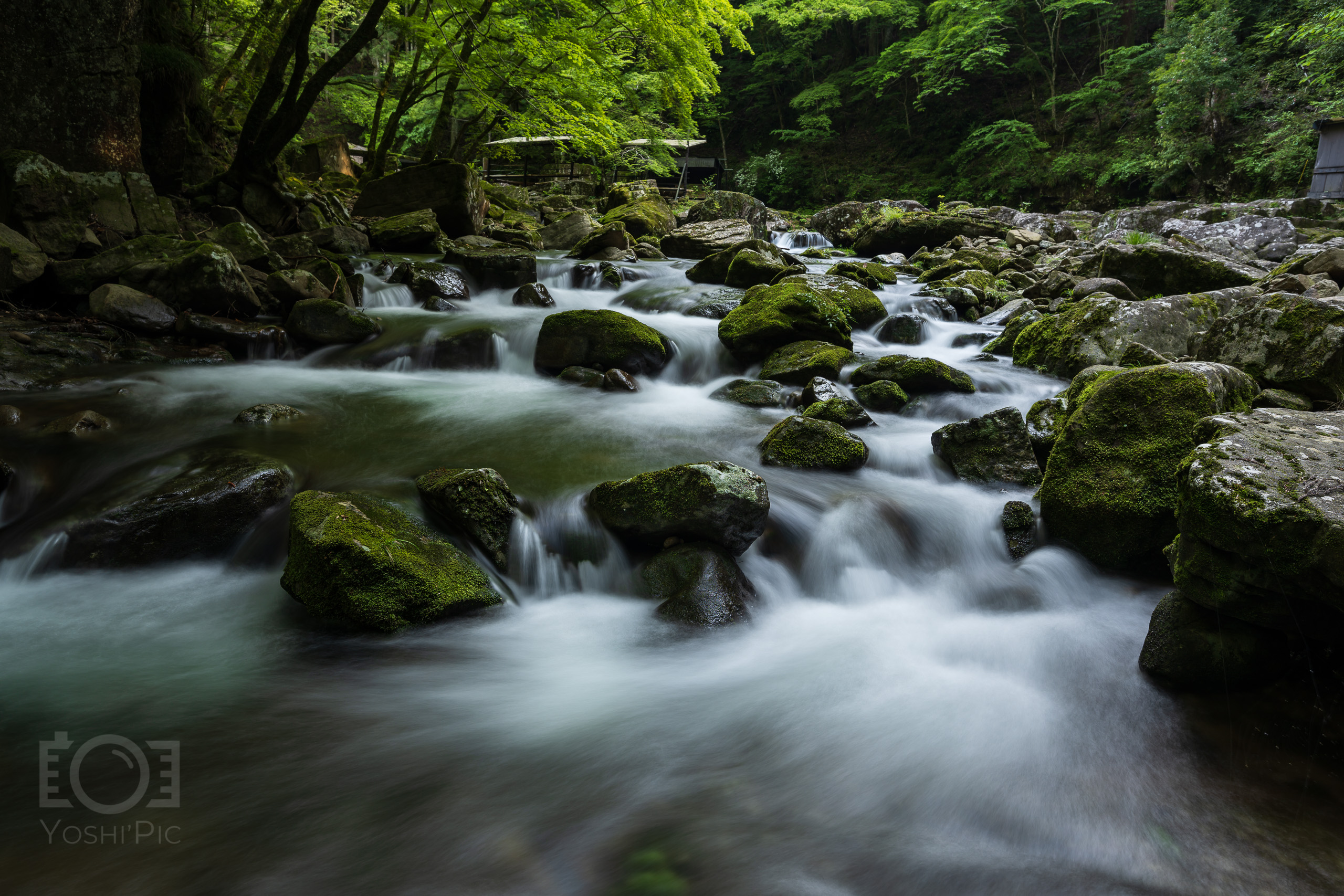 作例多数】 超広角レンズ Z14-30mm f/4Sを使って三重・赤目四十八滝で