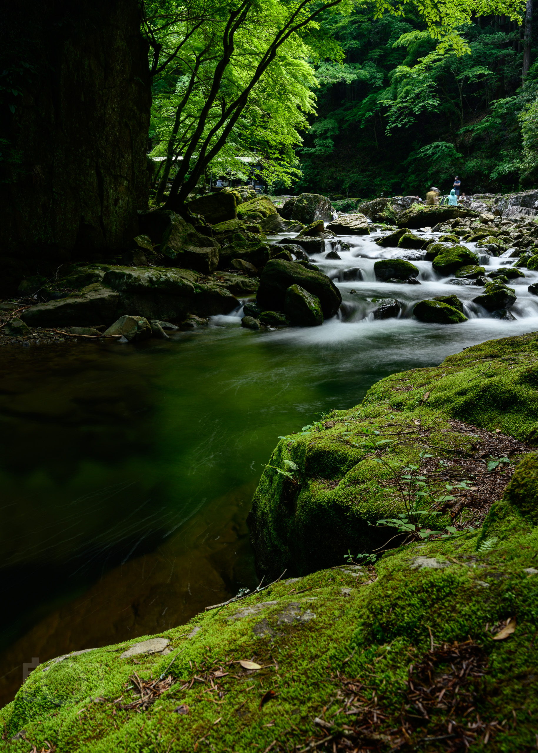 作例多数】 超広角レンズ Z14-30mm f/4Sを使って三重・赤目四十八滝で