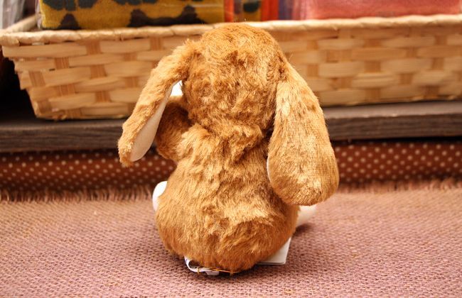 ロップイヤー ベージュ - 雑貨屋サク