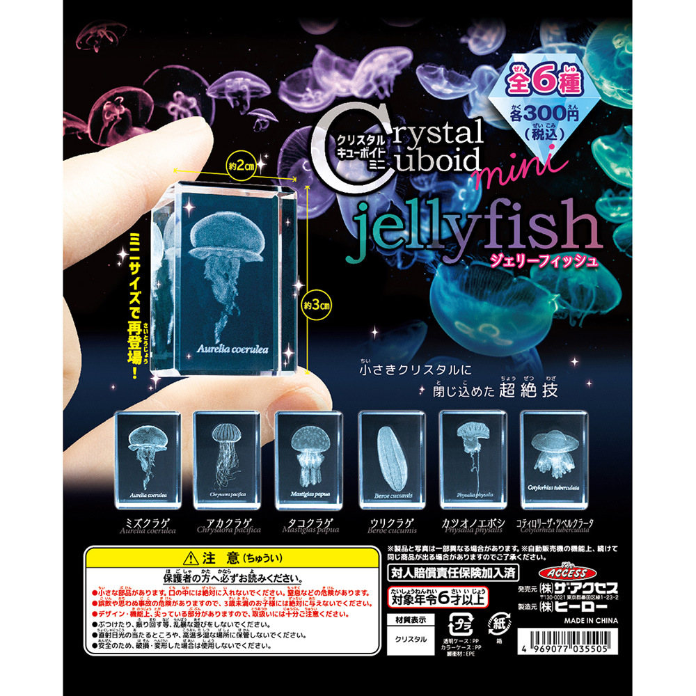 クリスタルキューボイドミニ ジェリーフィッシュ（全6種） – 株式会社