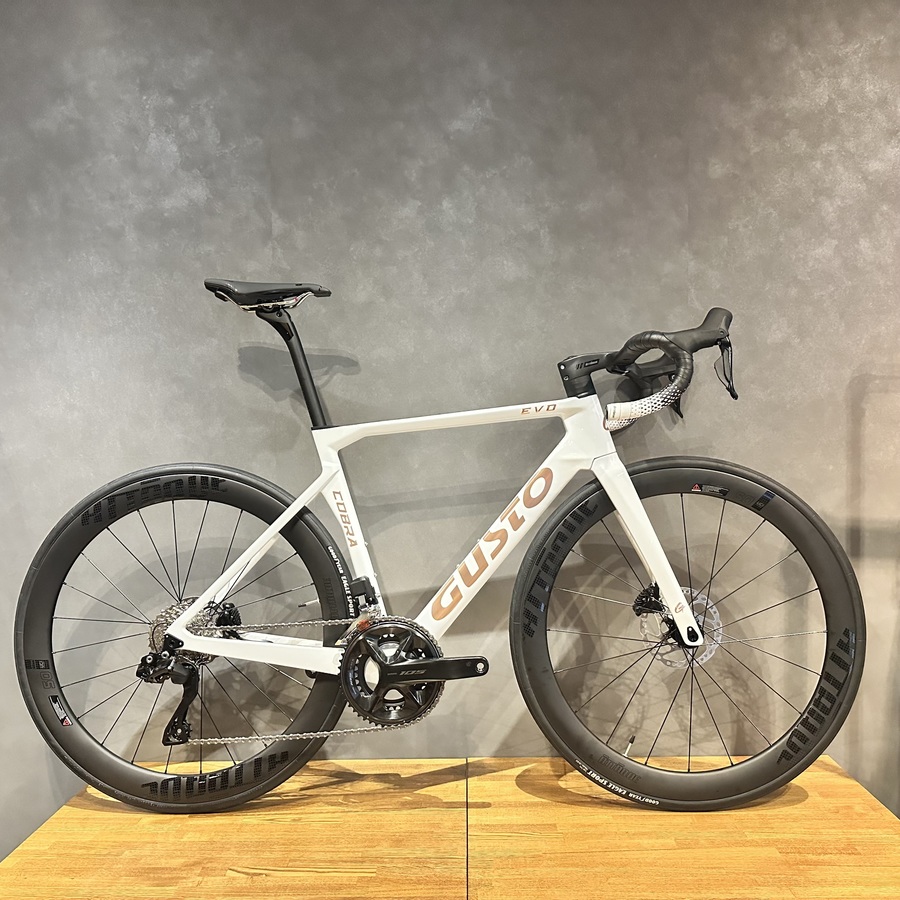 GUSTO COBRA EVO DB SPORT TE 2025年モデル徹底レビュー｜105 Di2＆
