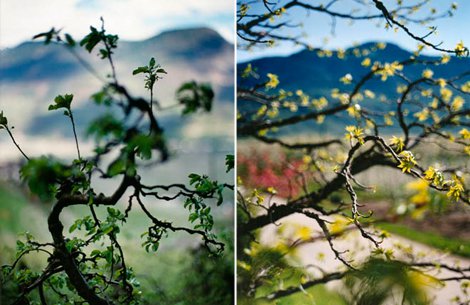 Terri Weifenbach: Lana