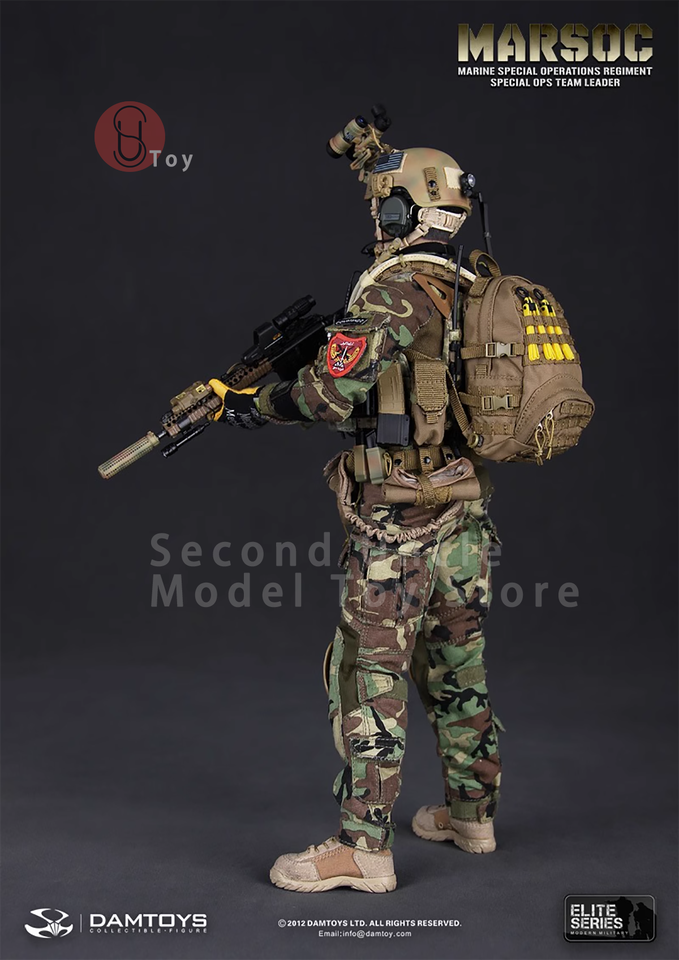 DAMTOYS DAM78006 1/6 MARSOC Marine Corps Special Operations Unit