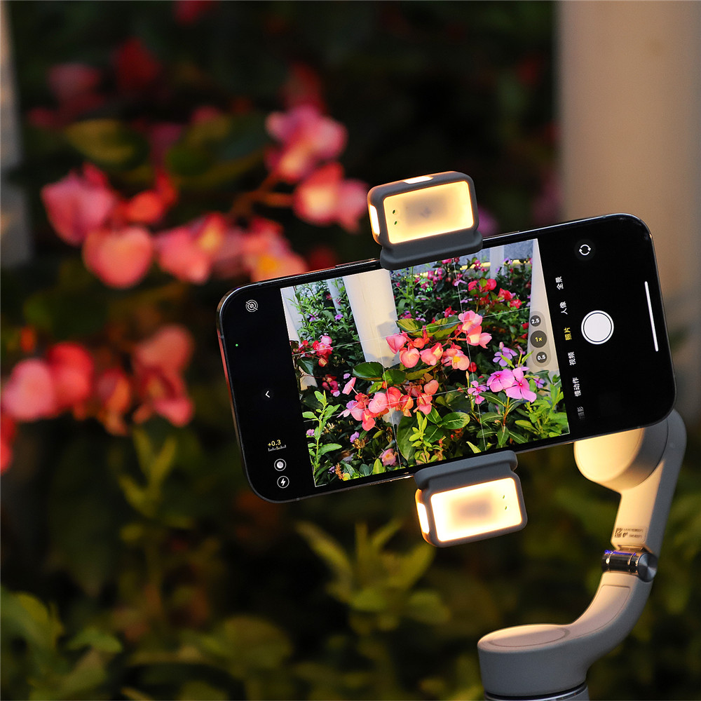Fill Light Phone Clamp for DJI OM 6/5/SE Adjustable Brightness