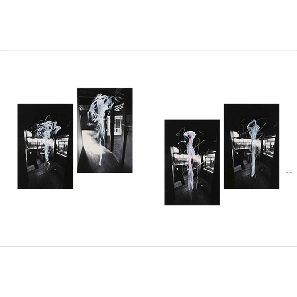 美術展ナビ 図録・グッズSHOP / 大巻伸嗣 真空のゆらぎ （展覧会公式