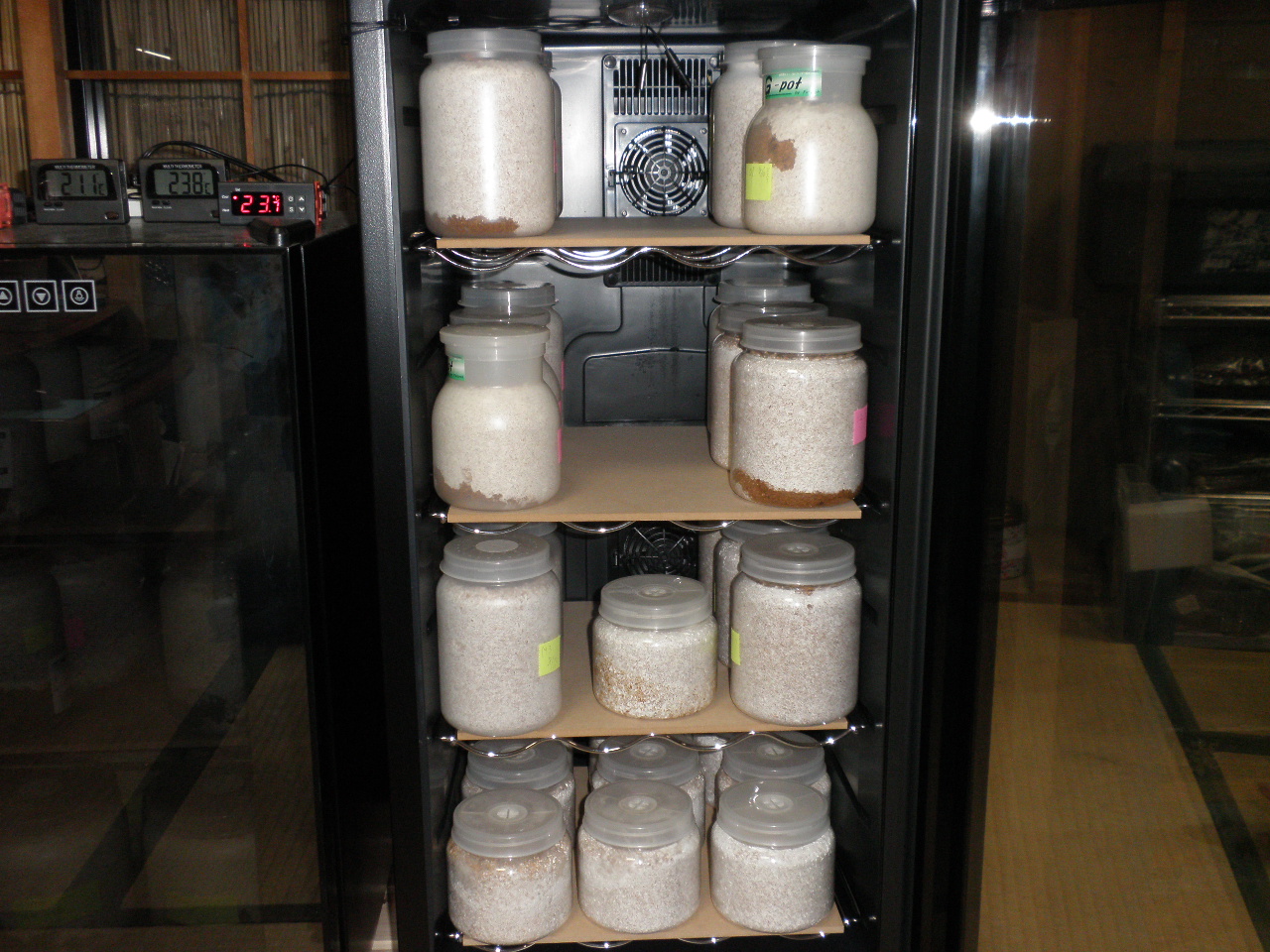 クワガタの幼虫用、ワインセラーの増設