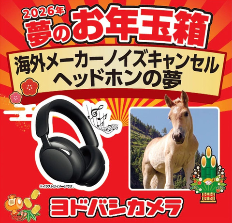 ヨドバシ福袋「2026年 夢のお年玉箱」抽選受付は本日11時59分まで