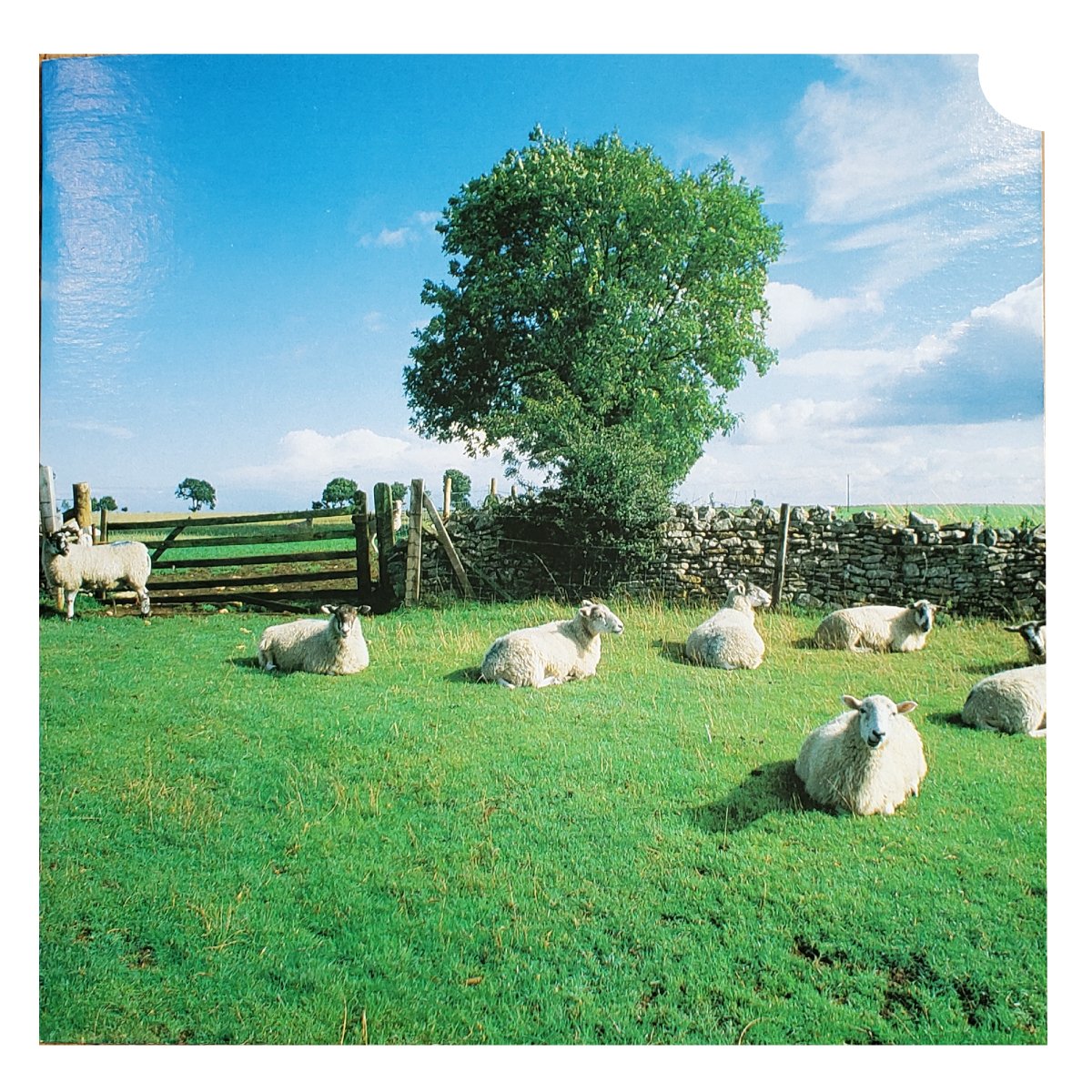 KLF-Chill Out Vinyl LP/ Rare-CUT PROMO | Wax Trax! Records