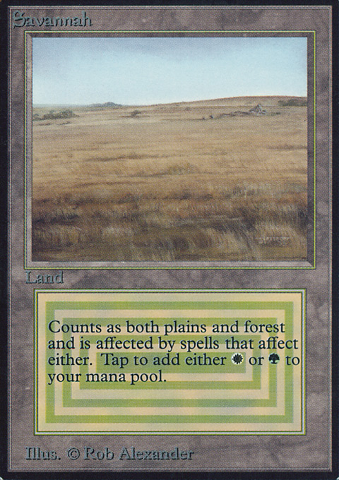 MTG』デュアルランド ドイツ語 bayou 22 MTG』デュアルランド ドイツ語