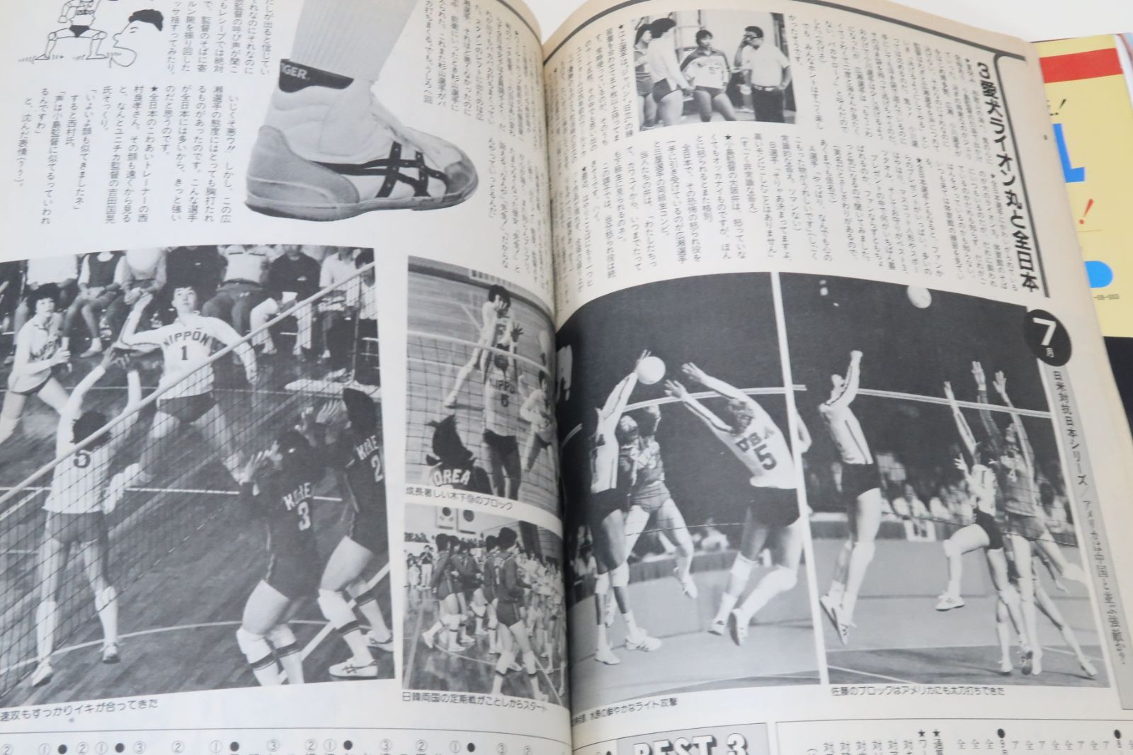 月刊バレーボール1981年臨時増刊・ワールドカップ展望号/'81全日本の顔