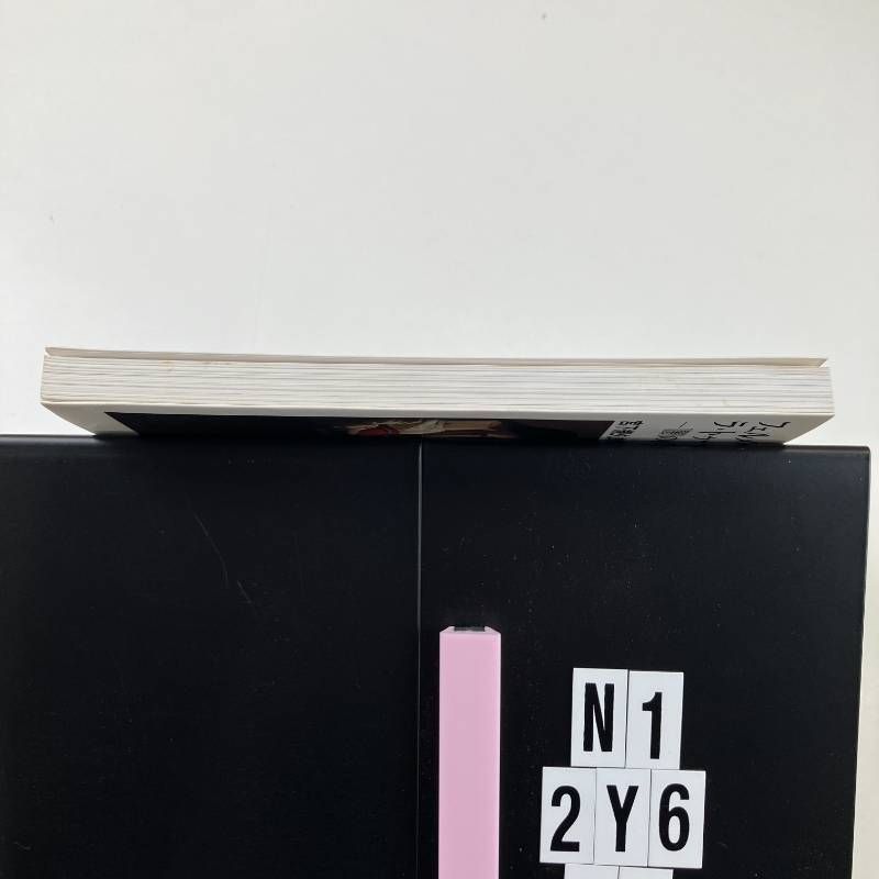 フェルメールの光とラ・トゥールの焔: 「闇」の西洋絵画史 (小学館101