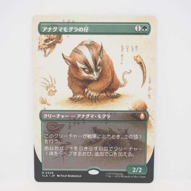 MAGIC The Gathering MTG アナグマモグラの仔 M 0326 TLA・JP トレカ