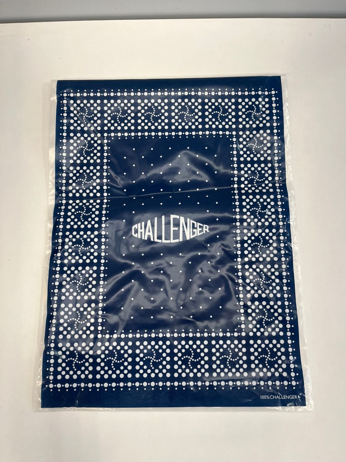 チャレンジャー CHALLENGER SHADOW PLAID SHIRT シャドープレイド