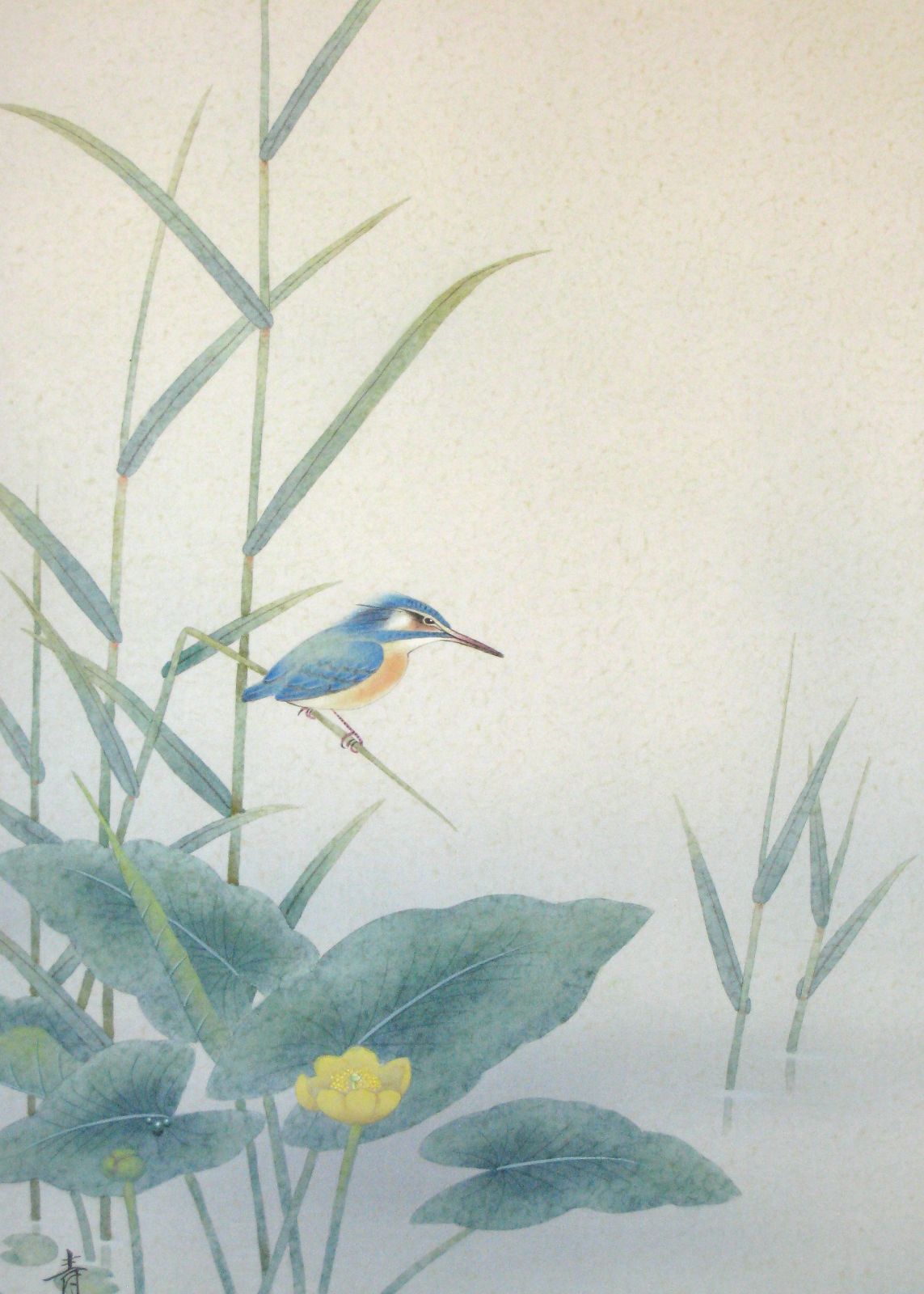 真筆】掛け軸 掛軸 翡翠(かわせみ)◇柳沢寿江 太巻仕様・共箱・タトウ