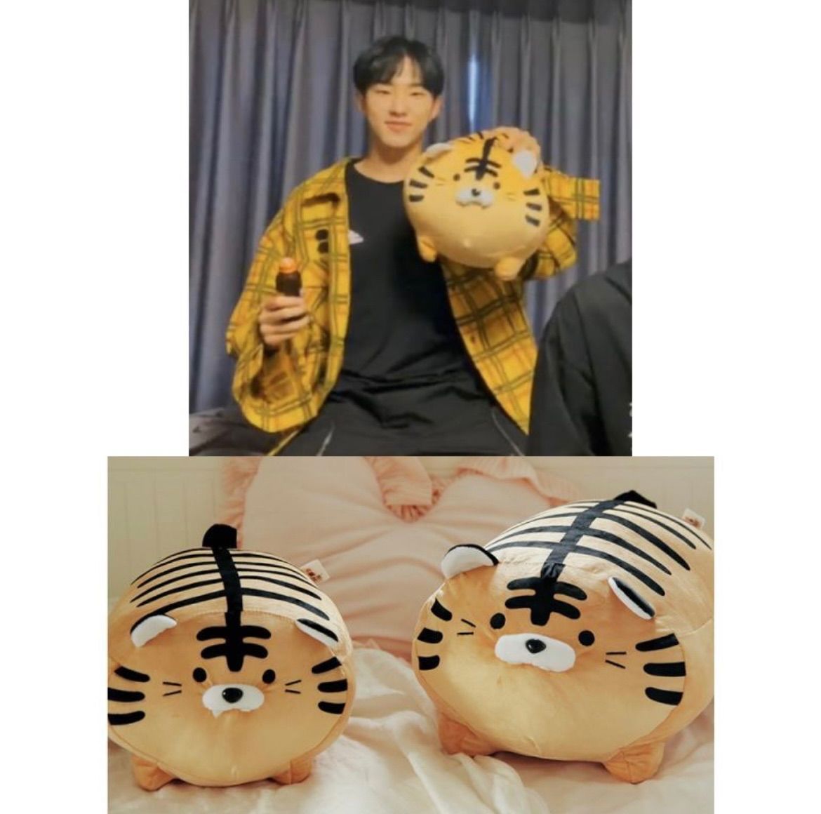 SEVENTEEN ホシくんとお揃いぬいぐるみ - メルカリ