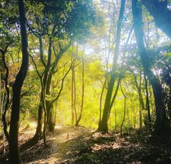 De'Longhi デロンギ アミカルド オイルヒーター ライトグレー